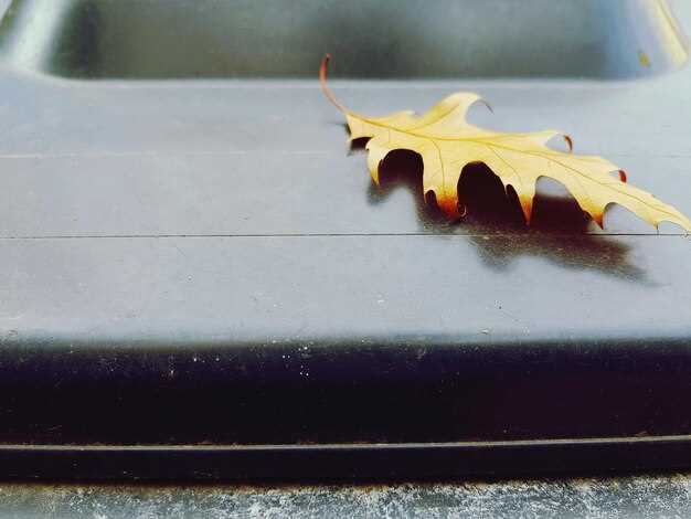 Пошаговая замена неисправного датчика дождя