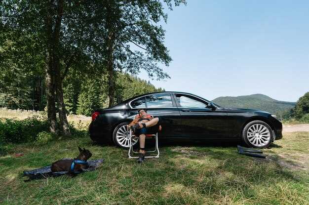 Совместимость с современными технологиями и мультимедиа