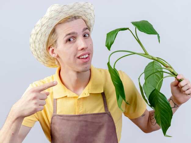 Удаление механических повреждений и ремонт поврежденных агрегатов