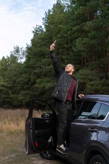 Дополнительные меры – от блокировки колес до использования кирпичей