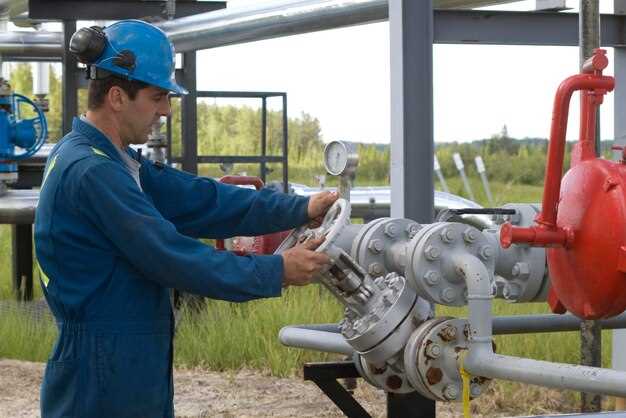 Обзор популярных брендов и ценовых сегментов