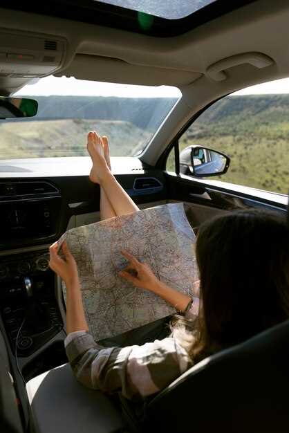 Понимание значения Trip km в системе автомобиля Шкода