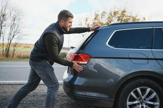 Обзор конструкции и визуальные особенности заднего вида приоры